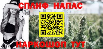 гидропоника Кингисепп