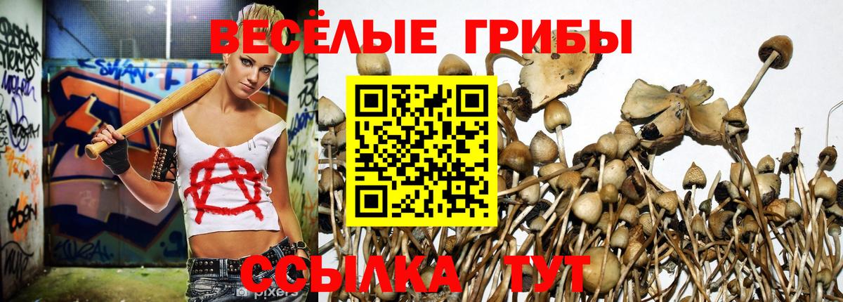 закладки  Галлюциногенные грибы GOLDEN TEACHER  Галлюциногенные грибы GOLDEN TEACHER  Вход с VPN  Котовск 